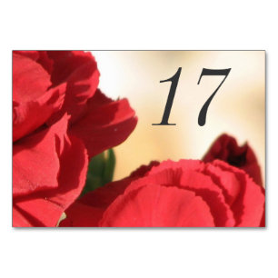 Numeração De Mesa Flor de Canto Vermelho
