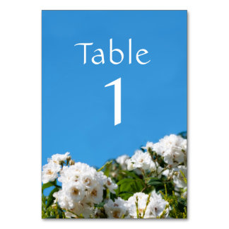 Numeração De Mesa Floral de rosa branca