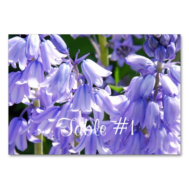 Numeração De Mesa Flores bonito (Frente)