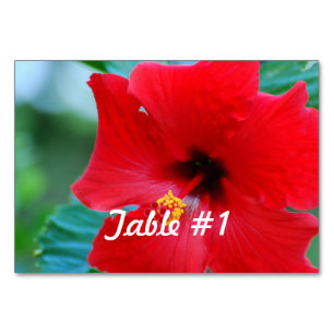 Numeração De Mesa Flores de Hibiscus