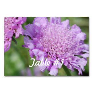 Numeração De Mesa Flores de Pincushion