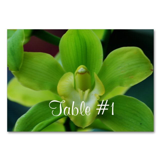 Numeração De Mesa Flores Orquídeas (Frente)