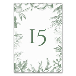 Numeração De Mesa Folhas Botânicas Verde Folhagem Aquarela