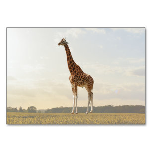 Numeração De Mesa Folheto de Etiqueta de Rotulagem do Giraffe ABA