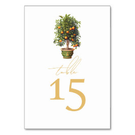 Numeração De Mesa Fruta Laranja de Casamento de Verão