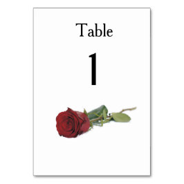 Numeração De Mesa Ideias de Casamento Elegante Simples e Moderno da 