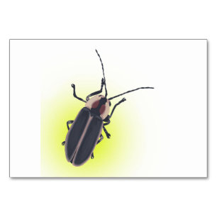 Numeração De Mesa Inseto De Luz, Firefly, Placas De Ler Insetos