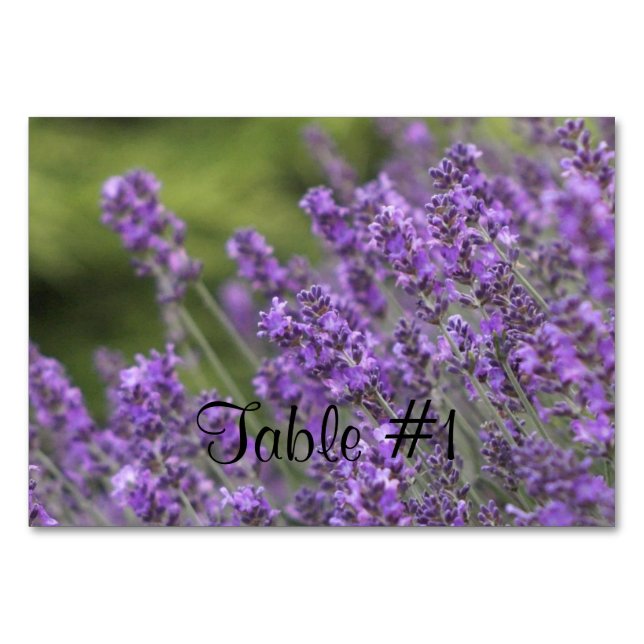 Numeração De Mesa Lavanda (Frente)
