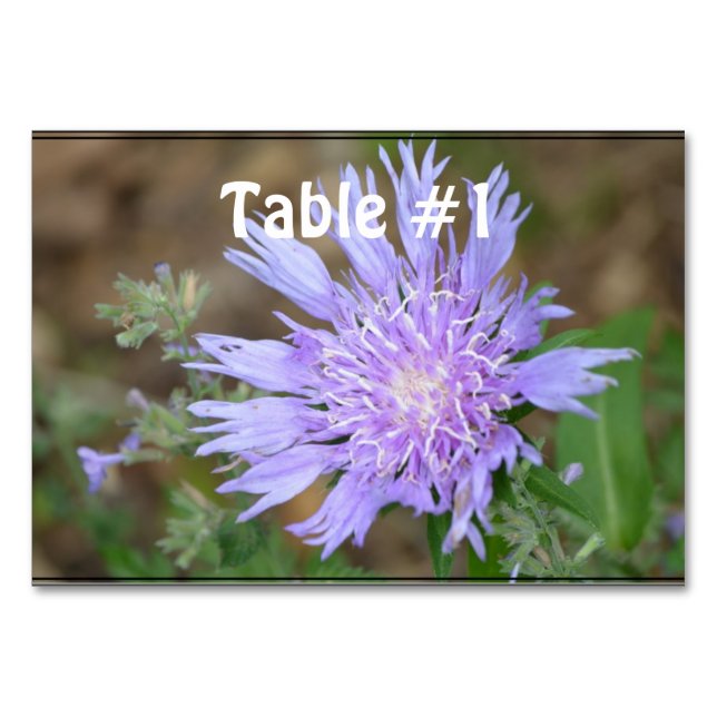 Numeração De Mesa Lavanda bonito Scabiosa (Frente)