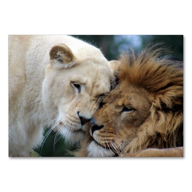 Numeração De Mesa Leão e Leão (Frente)