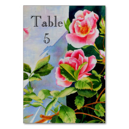 Numeração De Mesa Lindas rosas brancas, cor-de-rosa, cor-de-água flo