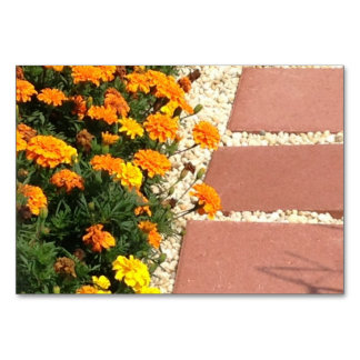Numeração De Mesa Marigolds Fllowers Pativers Leitura De Placas