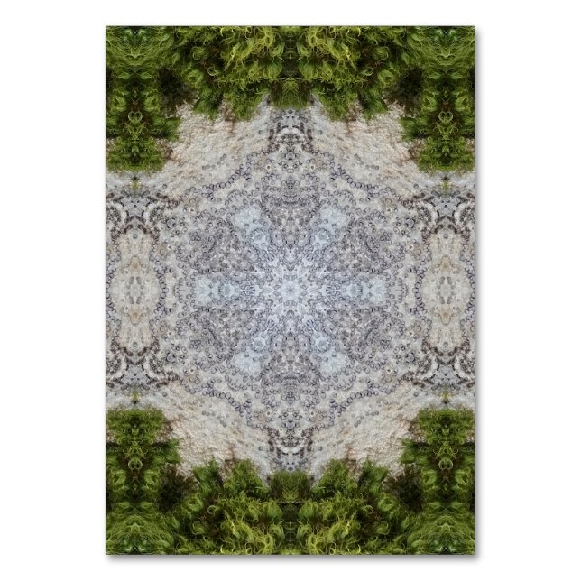 Numeração De Mesa Moisés Verdes e Arte da Terra (Frente)