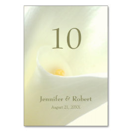 Numeração De Mesa Número da Tabela Calla Lily