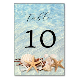 Numeração De Mesa Número da Tabela de Casamento de Seashell de Praia