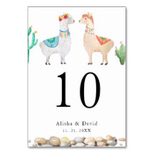 Número da Tabela de Casamento do casal Llama