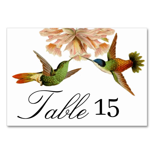 Numeração De Mesa Número da Tabela de Hummingbird de Casamento Elega (Frente)
