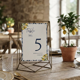 Numeração De Mesa Número de Mesa de Casamento com Azulejo Azul e Lim