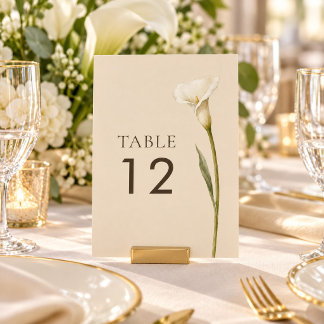 Numeração De Mesa Número de Mesa de Casamento Lírio de Calla Champag
