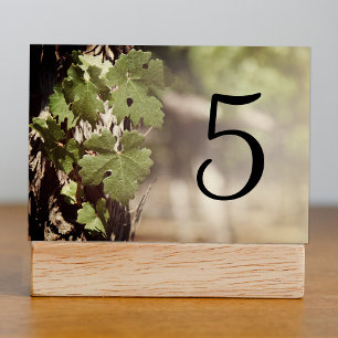 Numeração De Mesa Números da mesa do vinhedo das folhas da uva