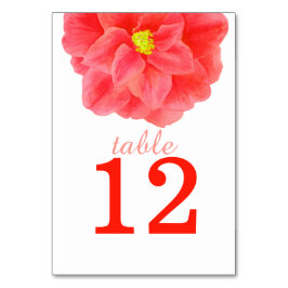 Numeração De Mesa Números das mesas de casamento da arte vermelha Ca