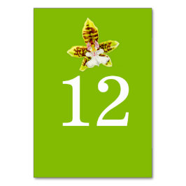 Numeração De Mesa Números de mesa de casamento da orquídea verde