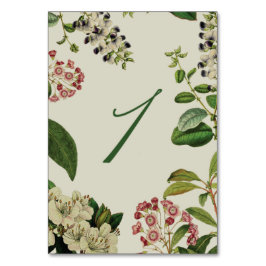 NUMERAÇÃO DE MESA NÚMEROS DE TABELA BOTÂNICA- NÚMERO DE SORTE