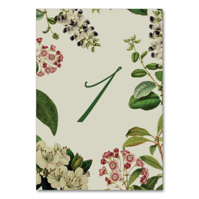 NUMERAÇÃO DE MESA NÚMEROS DE TABELA BOTÂNICA- NÚMERO DE SORTE (Frente)