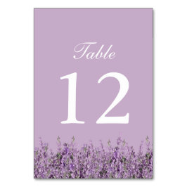 Numeração De Mesa Números de Tabela de Casamento Floral de Lavanda R