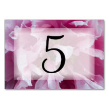 Números de Tabela de Flor de Pêonias Rosa