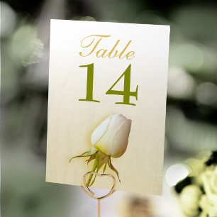 Numeração De Mesa Números de tabela de rosa de botão branco de solte