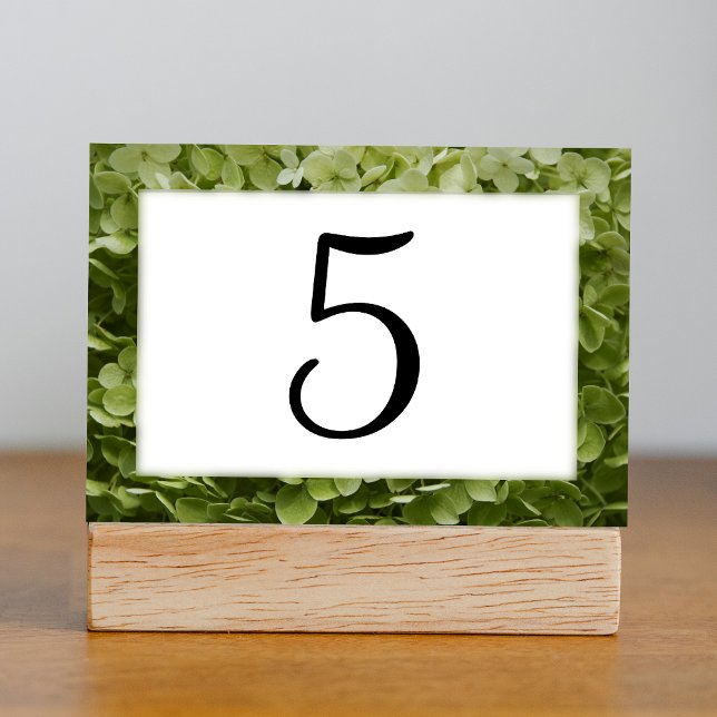 Numeração De Mesa Números de Tabela Floral da Annabelle Verde Hydran (Criador carregado)
