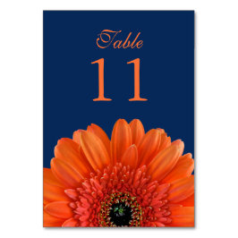 Numeração De Mesa Orange Gerbera Daisy Marinho Blue Wedding