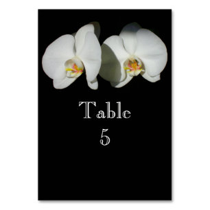 Numeração De Mesa Orquídeas brancas românticas, foto floral tropical