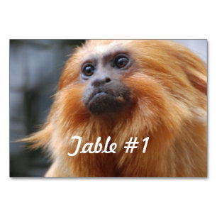 Numeração De Mesa Ouro Lion Tamarin Mackey