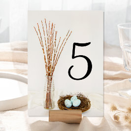 Numeração De Mesa Ovos de ninho rústicos do pássaro e salgueiros de