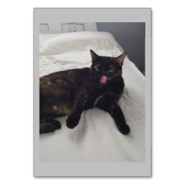 Numeração De Mesa Peles moles, Gato, Placas de Ler Adjetivas