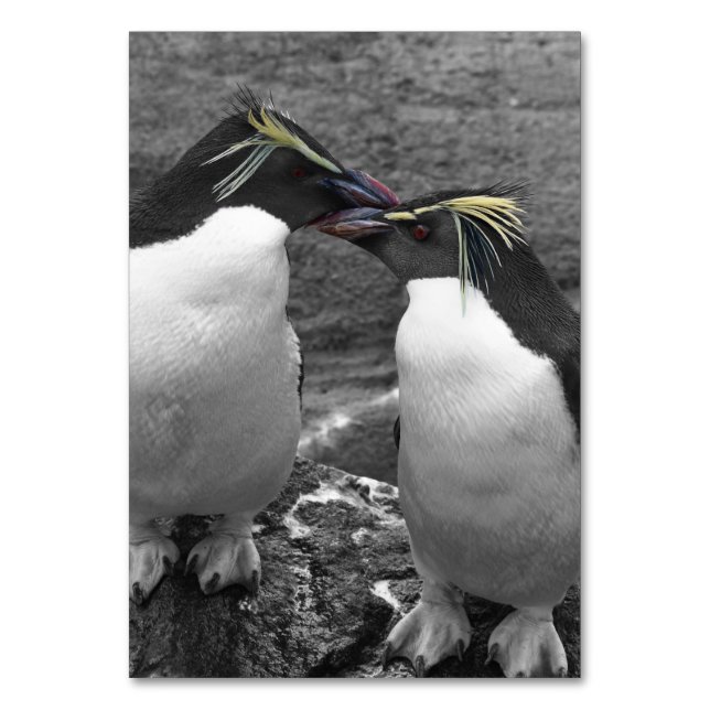 Numeração De Mesa Penguin Colour Splash (Frente)
