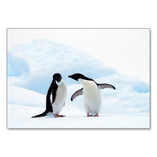Numeração De Mesa Pinguins de Adelie