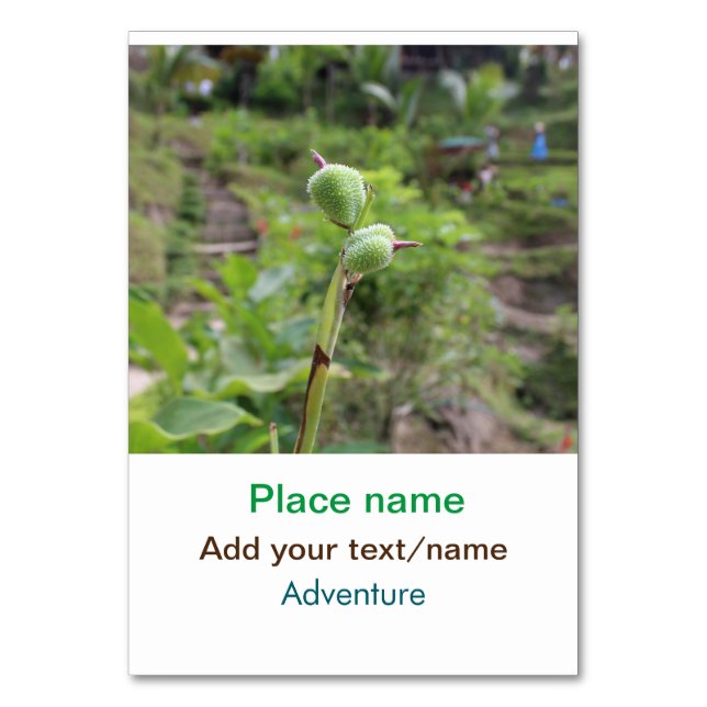 Numeração De Mesa Plantas naturais fotografia água de praia viagem (Frente)