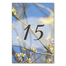 Numeração De Mesa Primavera Blossomo