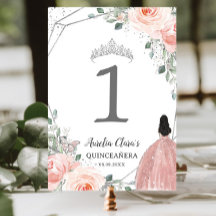 Quinceañera Birthday Blush Pink Princesa Floral