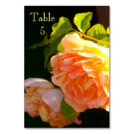 Numeração De Mesa Rosa de pêssego clássico Elegante floral