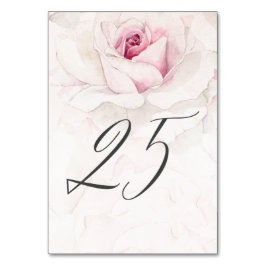 Numeração De Mesa Rosa Rosa-Rosa-Rosa-Rosa Watercolor Floral N.o 25 