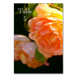Numeração De Mesa Rosas de pêssego clássicos elegantes