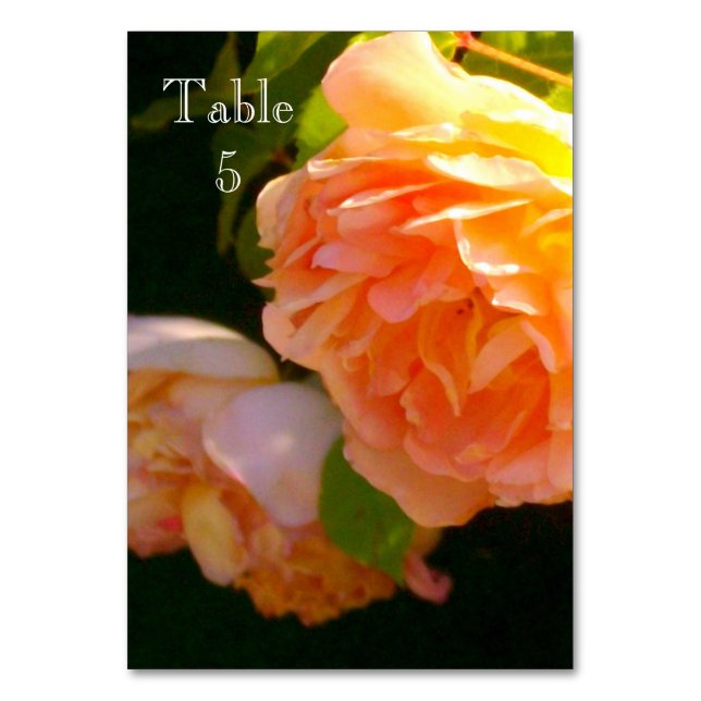 Numeração De Mesa Rosas de pêssego clássicos elegantes (Frente)