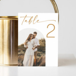 Numeração De Mesa Simples e elegante casamento com fotos de script m