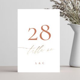 Numeração De Mesa Terracotta Dusty Orange Elegant Boho Dourado Casam