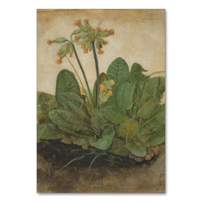 Numeração De Mesa Tuft de Cowslips por Albrecht Durer (Frente)