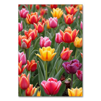 Numeração De Mesa Tulipas Holandesas